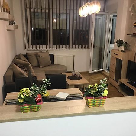 Apartment Sinisa With Garage Novi Sad Exteriér fotografie